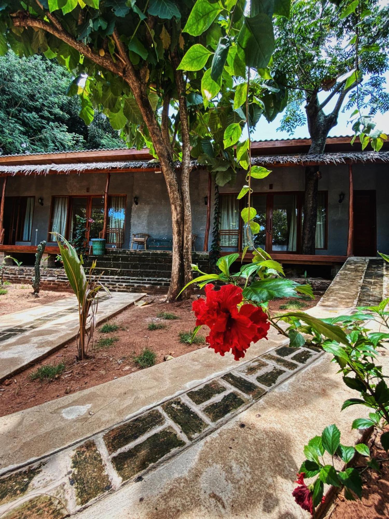 Basa-basi Lodge Karimunjawa Bagian luar foto