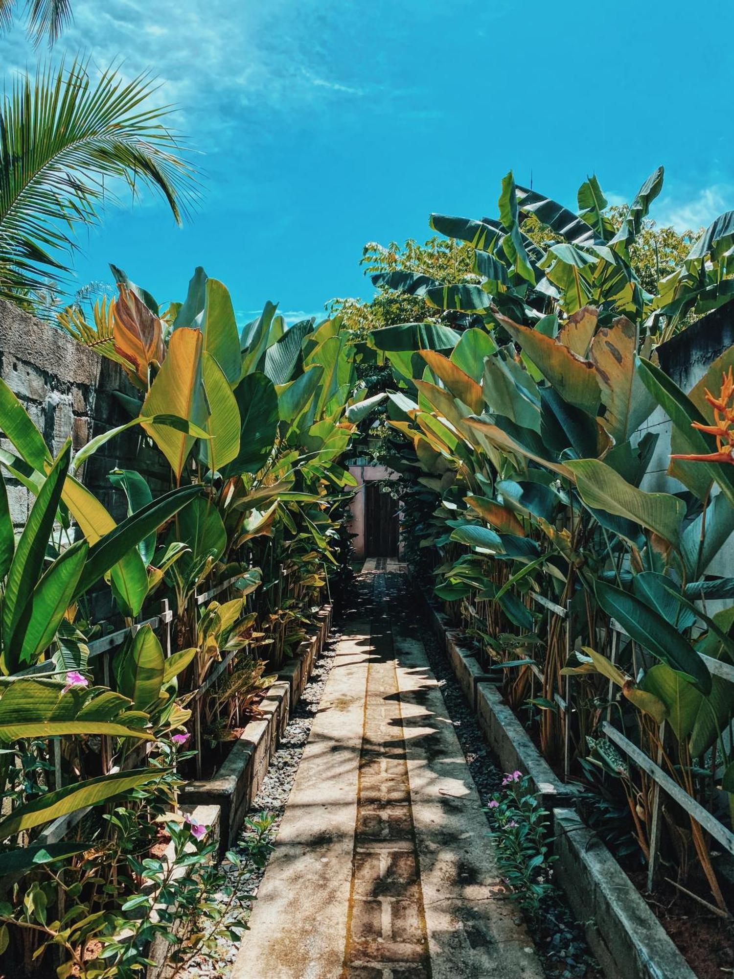 Basa-basi Lodge Karimunjawa Bagian luar foto