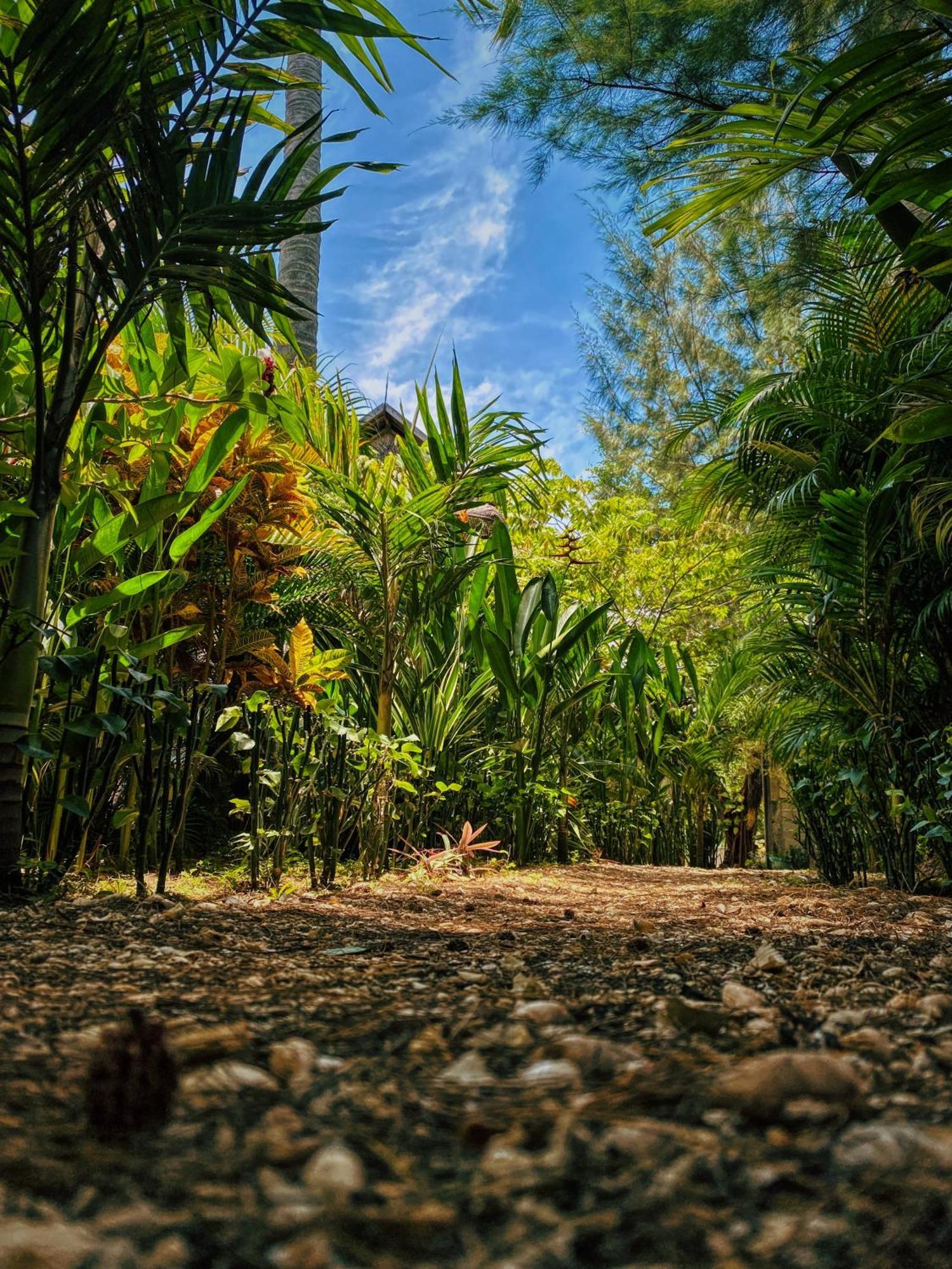 Basa-basi Lodge Karimunjawa Bagian luar foto